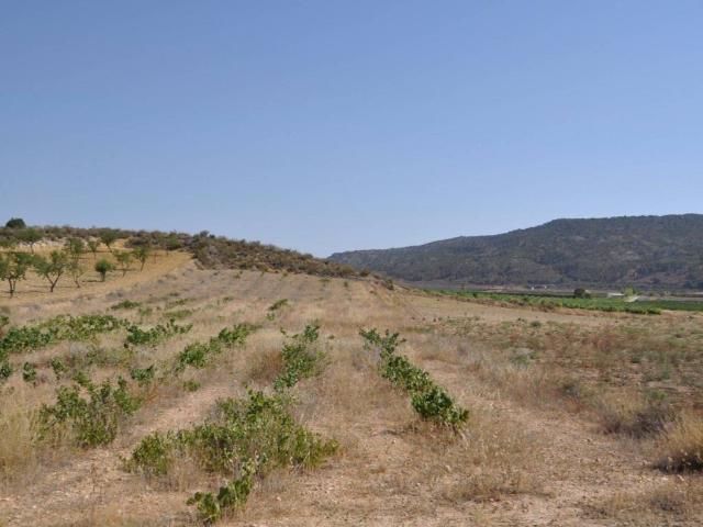 Terreno en venta en Alicante