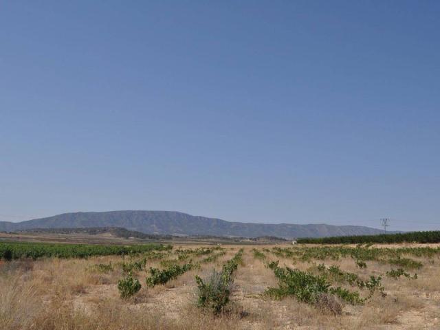 Terreno en venta en Alicante