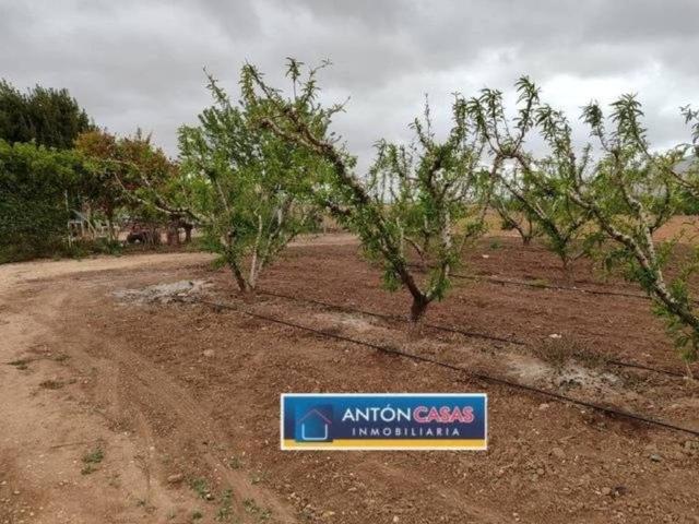 Terreno en venta en Alicante Terreno en venta en Alicante
