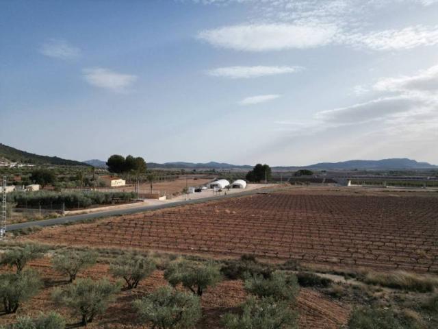 Terreno en venta en el Vinalopó Mitjà / El Vinalopó Medio, Valencia