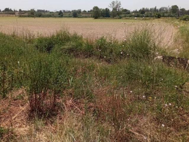 Terreno en venta en Ribera Alta del Ebro, Aragón