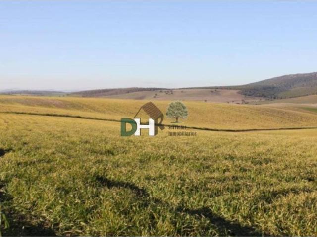 Terreno en venta en Pinto, Madrid