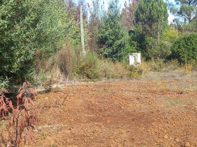 Terreno en Venta en Pinto