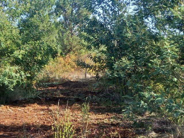 Terreno en Venta en Pinto