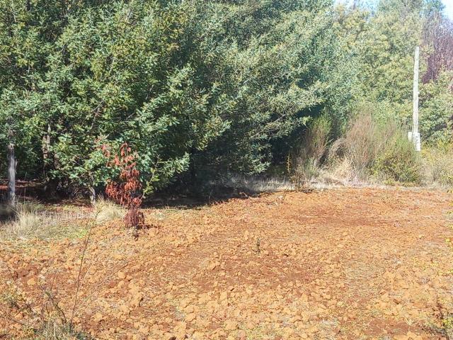 Terreno en Venta en Pinto