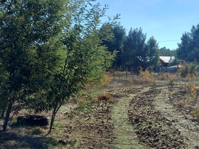 Terreno en Venta en Pinto