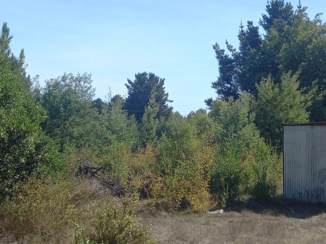 Terreno en Venta en Pinto