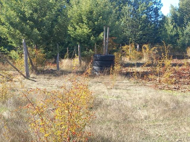 Terreno en Venta en Pinto