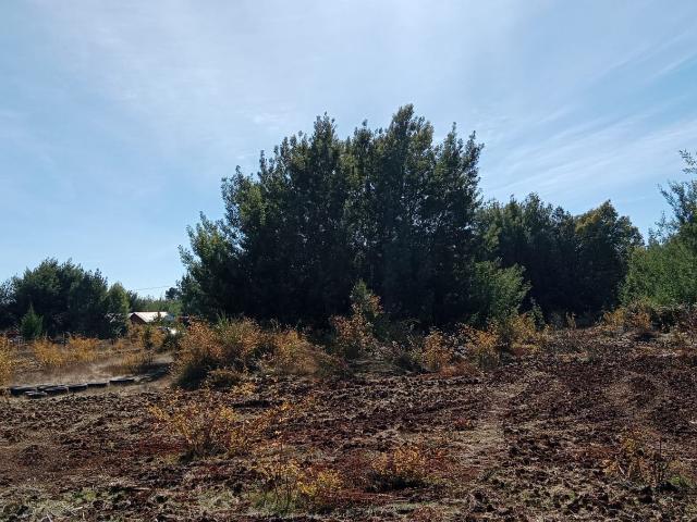 Terreno en Venta en Pinto