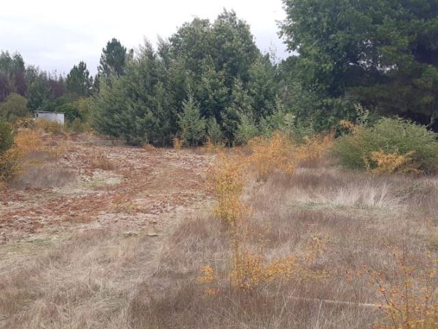 Terreno en Venta en Pinto