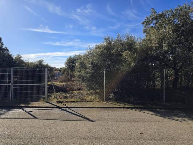 Terreno en venta en Pioz, Castilla-La Mancha