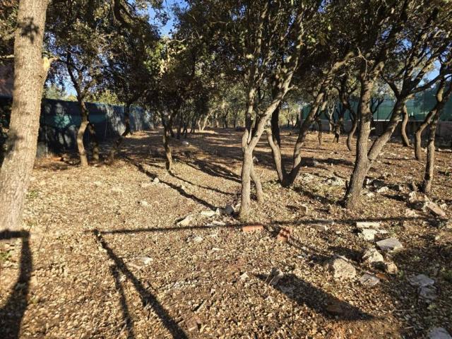 Terreno en venta en Pioz, Castilla-La Mancha