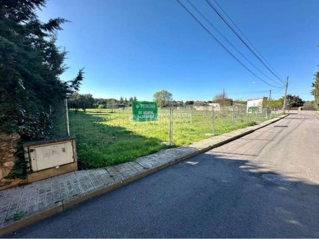 Terreno en venta en Pioz, Guadalajara