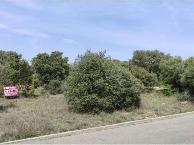 Terreno en venta en Pioz, Guadalajara