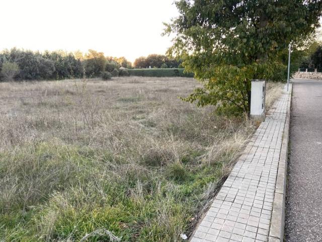 Terreno en venta en Pioz, Guadalajara