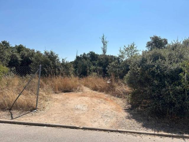 Terreno en venta en Pioz, Castilla-La Mancha