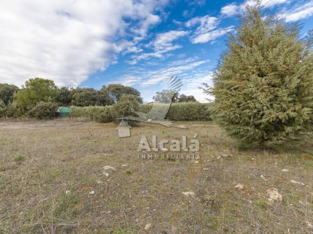 Terreno en venta en El Chaparral, Pioz