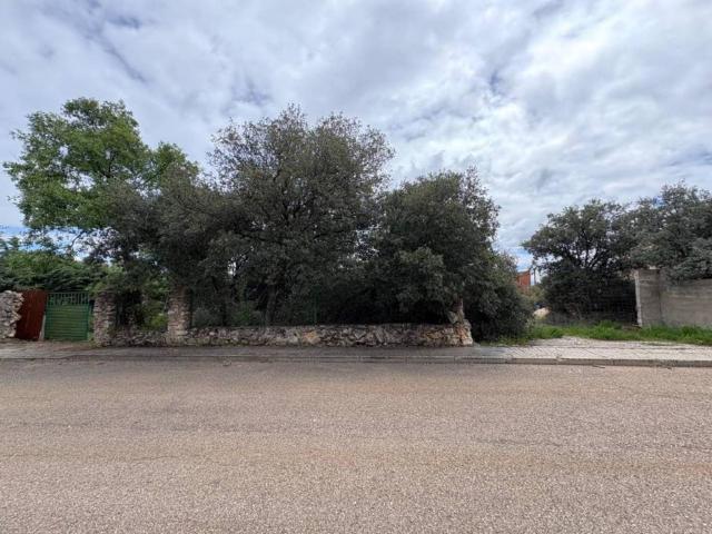 Terreno en venta en Pioz, Castilla-La Mancha