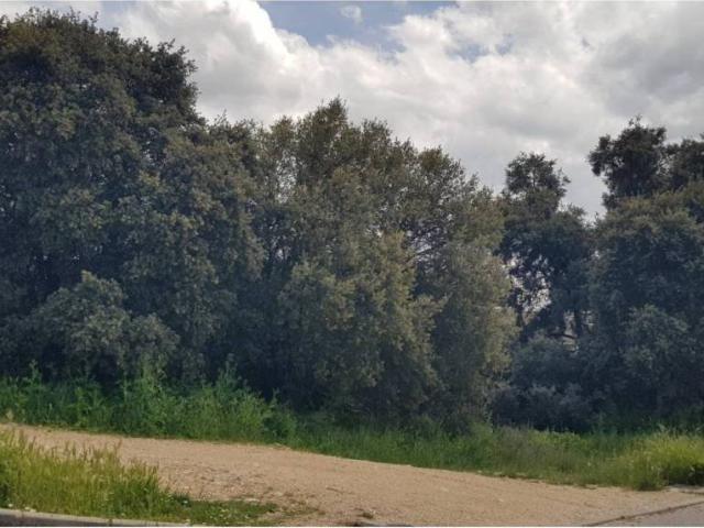 Terreno en venta en Pioz, Guadalajara