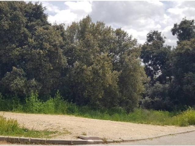 Terreno en venta en Pioz, Castilla-La Mancha