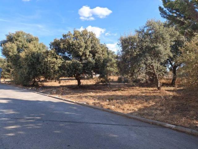 Terreno en venta en Pioz, Castilla-La Mancha