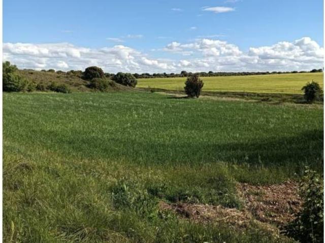 Terreno en venta en Pioz, Castilla-La Mancha