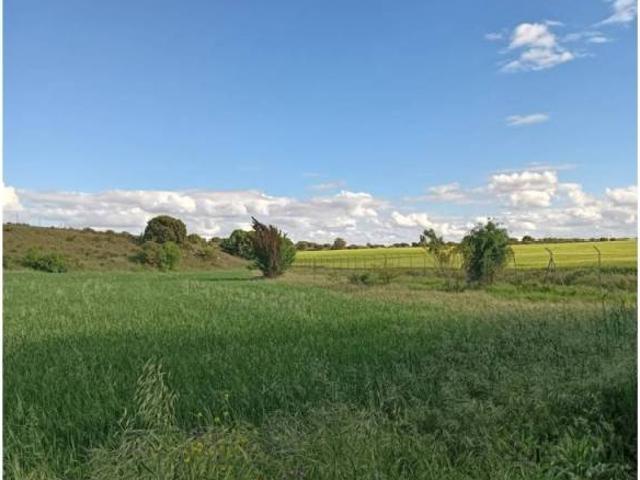 Terreno en venta en Pioz, Castilla-La Mancha