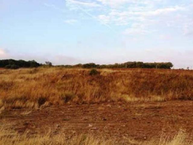 Terreno en venta en Madrebuena, Pioz