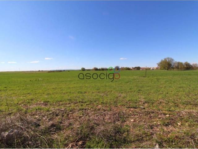 Terreno en venta en Pioz, Castilla-La Mancha
