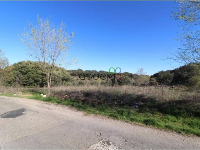 Terreno en venta en Pioz, Castilla-La Mancha