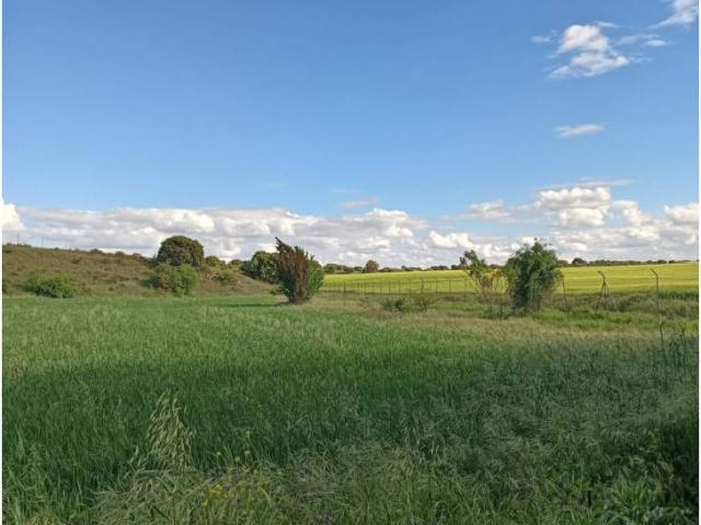 Terreno en venta en Madrebuena, Pioz