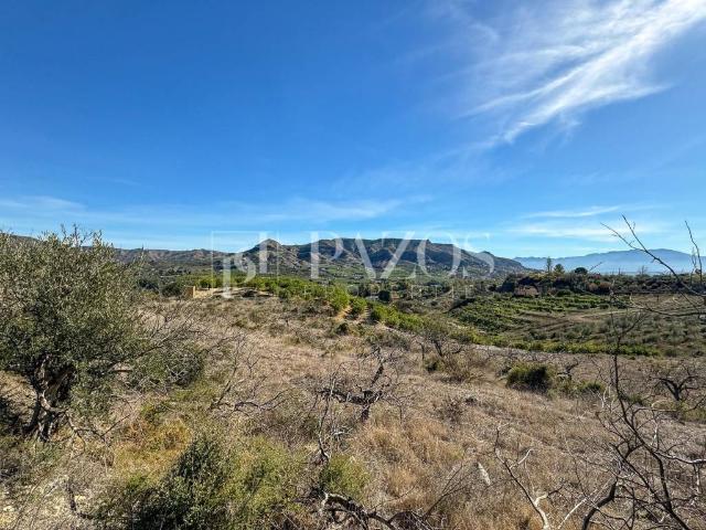 Terreno en venta en Pizarra, Vega Santa María