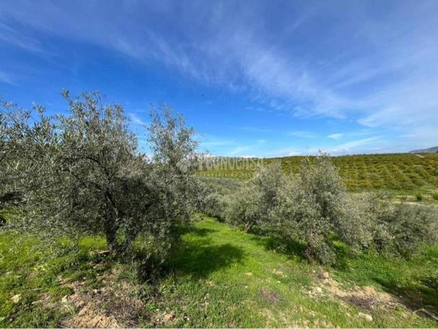 Terreno en venta en Valle del Guadalhorce, Andalucía
