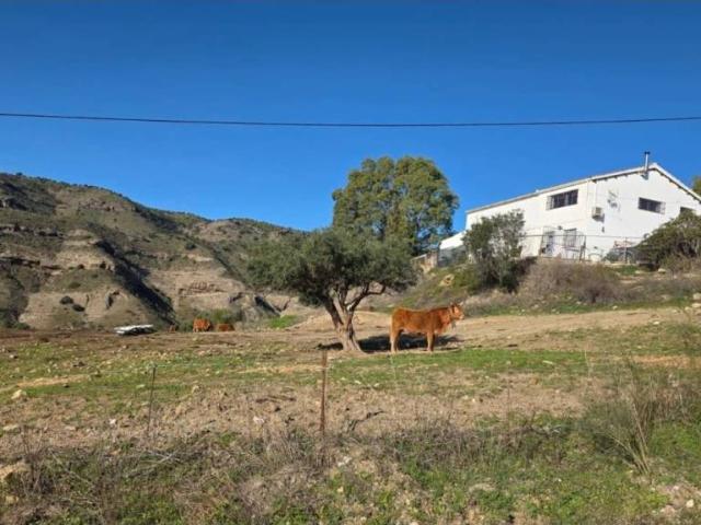 Terreno en venta en Valle del Guadalhorce, Andalucía