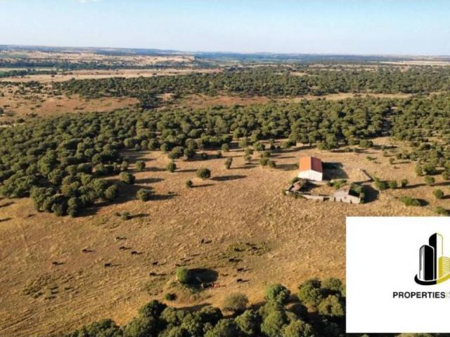 Terreno en venta en Pizarral, Salamanca