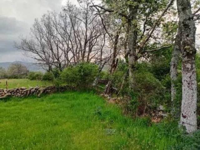 Terreno en venta en Piñuécar-gandullas, Madrid