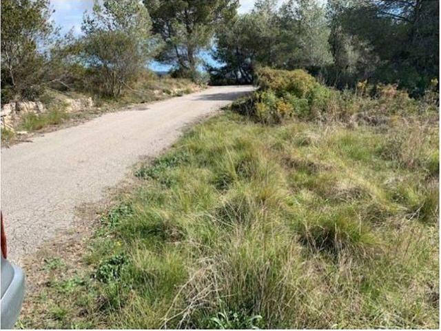 Terreno en venta en Alt Camp, Catalunya