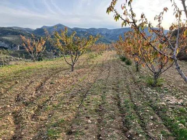 Terreno en venta en el Comtat, Valencia