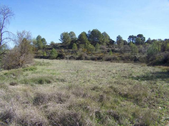 Terreno en venta en el Comtat, Valencia