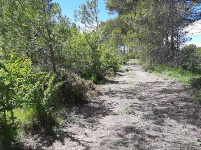 Terreno en venta en el Comtat, Valencia