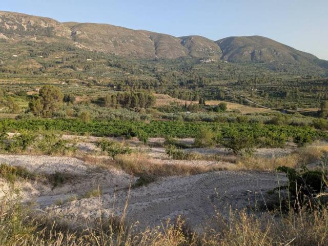 Terreno en venta en el Comtat, Valencia
