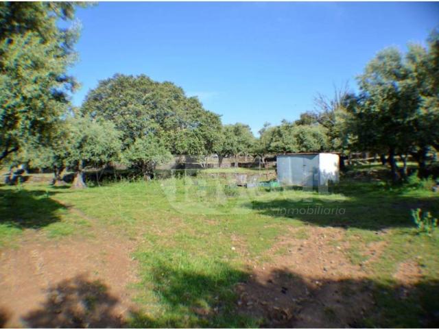 Terreno en venta en Plasencia, Extremadura