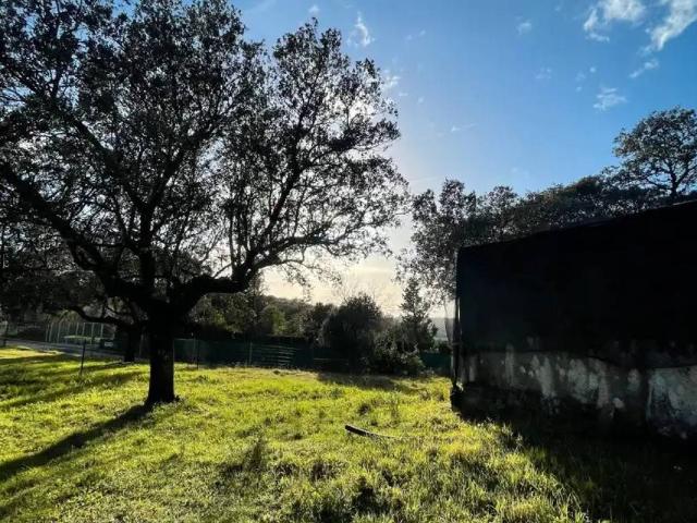 Terreno en venta en El Berrocal, Plasencia