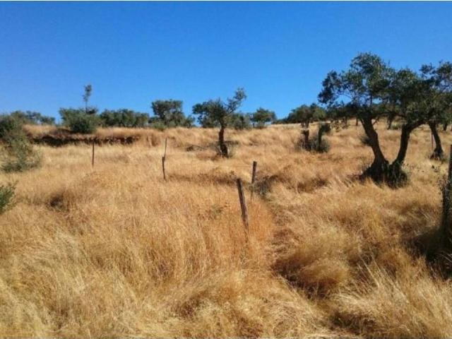 Terreno en venta en Plasencia, Extremadura