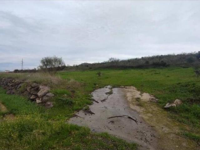 Terreno en venta en Plasencia, Extremadura