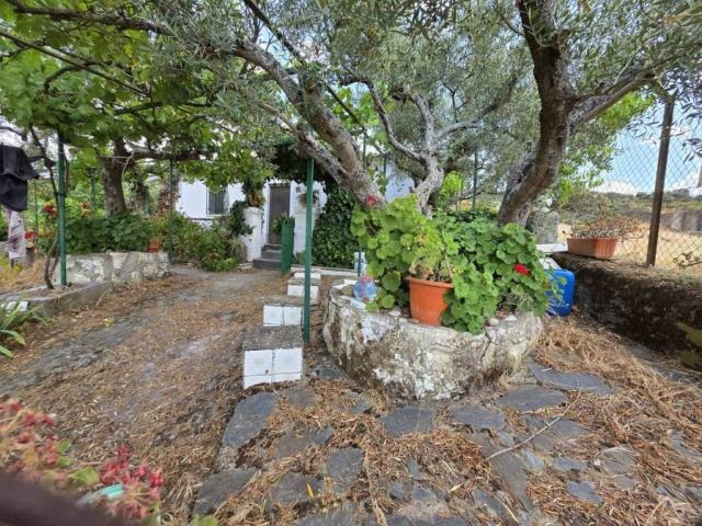 Terreno en venta en Plasencia, Extremadura