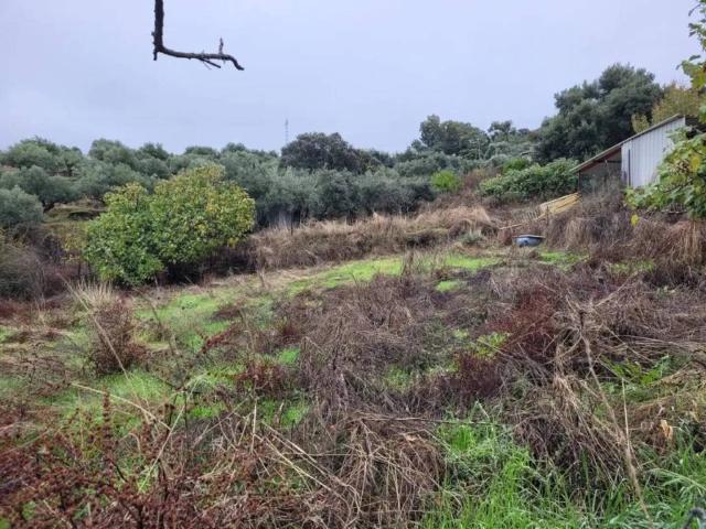 Terreno en venta en La Ribera - San Lázaro, Plasencia