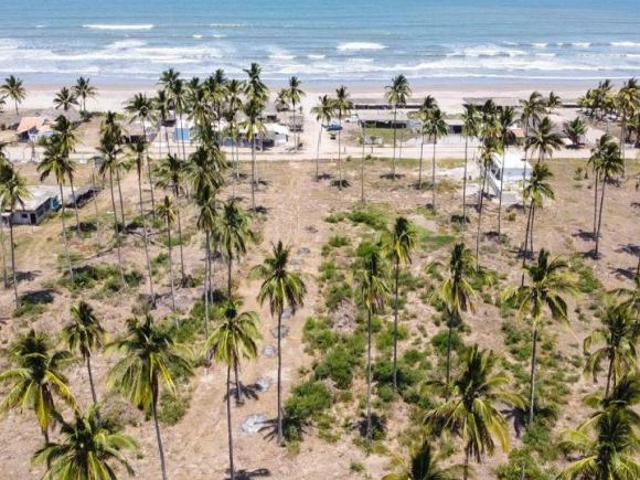 Terreno en venta en Tecuala, Nayarit