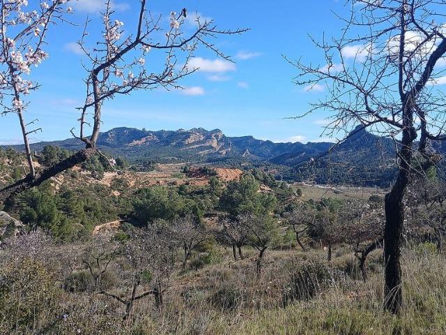 Terreno en venta en Terra Alta, Catalunya