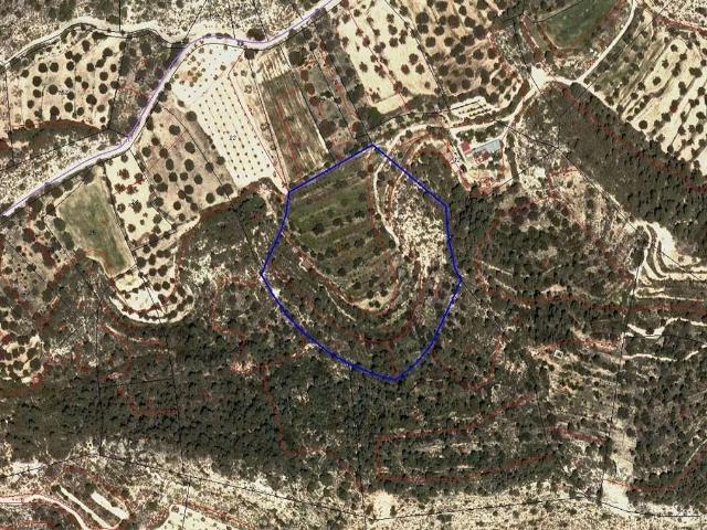 Terreno en venta en Ribera d'Ebre, Catalunya